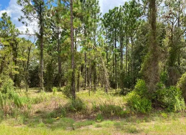 TBD SW Neptune Boulevard, DUNNELLON, FL 34431