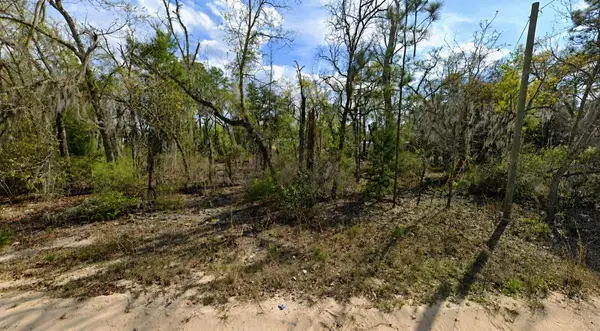 Claudia Street, INTERLACHEN, FL 32148
