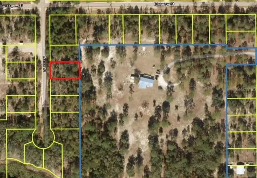 204 Wales Street, Interlachen, FL 32148 - #3