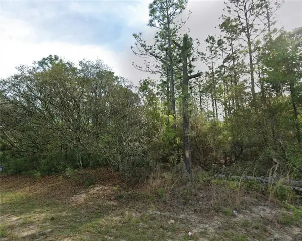 7745 N Maltese Drive, CITRUS SPRINGS, FL 34433