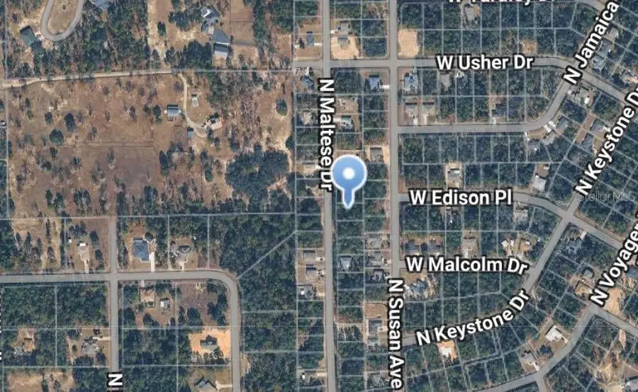 7745 N Maltese Drive, Citrus Springs, FL 34433 - #2