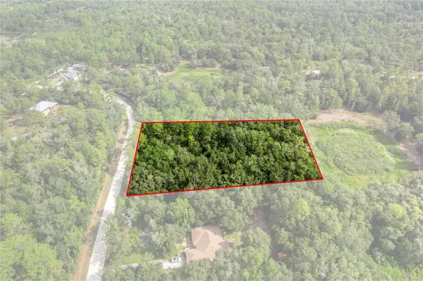 10497 Yellowlegs Avenue, WEEKI WACHEE, FL 34614