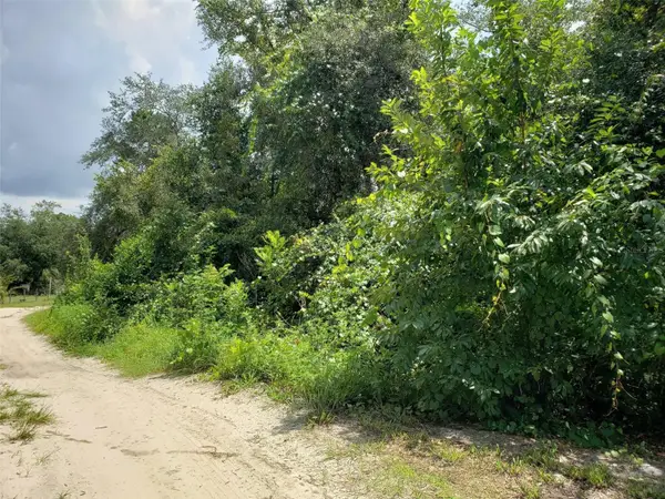 Pine Valley Drive, PAISLEY, FL 32767