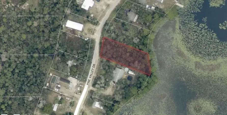 Pine Valley Drive, Paisley, FL 32767 - #2