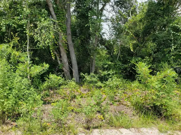 Pine Valley Drive, PAISLEY, FL 32767
