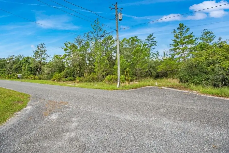 Georgia Street, Paisley, FL 32767 - #2