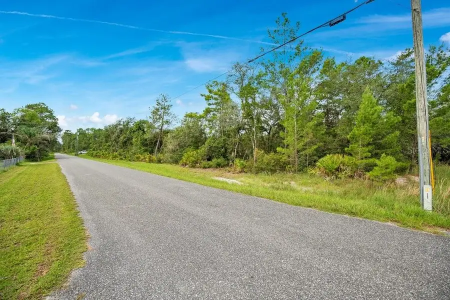 Georgia Street, Paisley, FL 32767 - #3