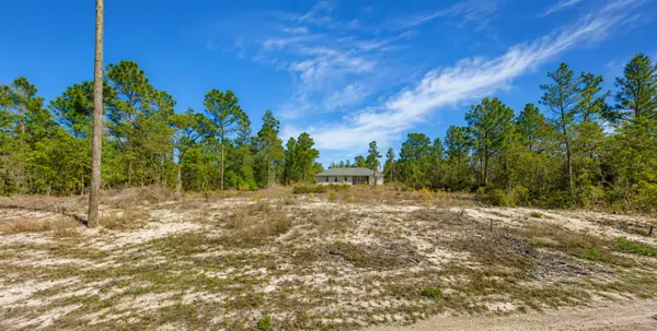 3539 W Seahorse Lane, CITRUS SPRINGS, FL 34433
