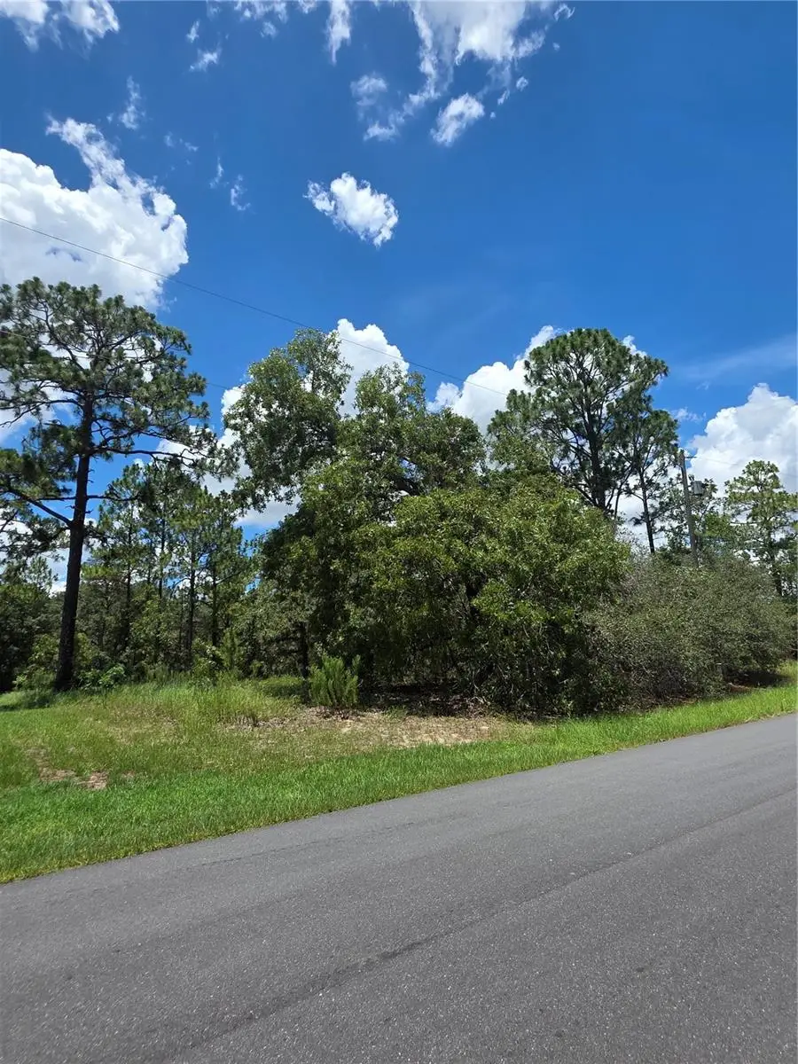 SW 60th Terrace, Ocala, FL 34473 - #2