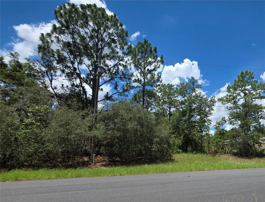 SW 60th Terrace, Ocala, FL 34473 - #3