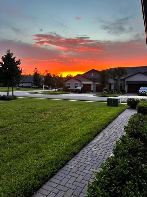 16890 Forge Surf Street, Land O Lakes, FL 34638 - #3