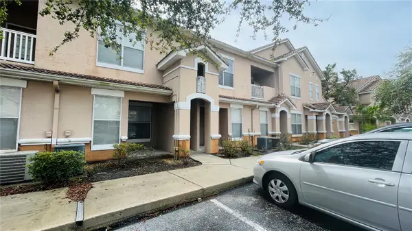 10519 Villa View Circle #10519, TAMPA, FL 33647
