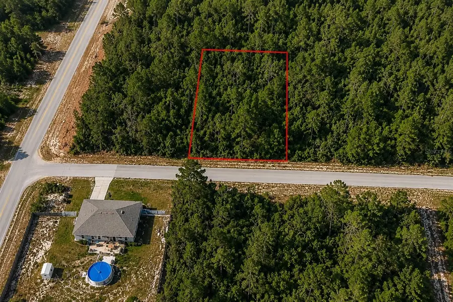 8332 N Farrington Drive, Citrus Springs, FL 34433 - #2