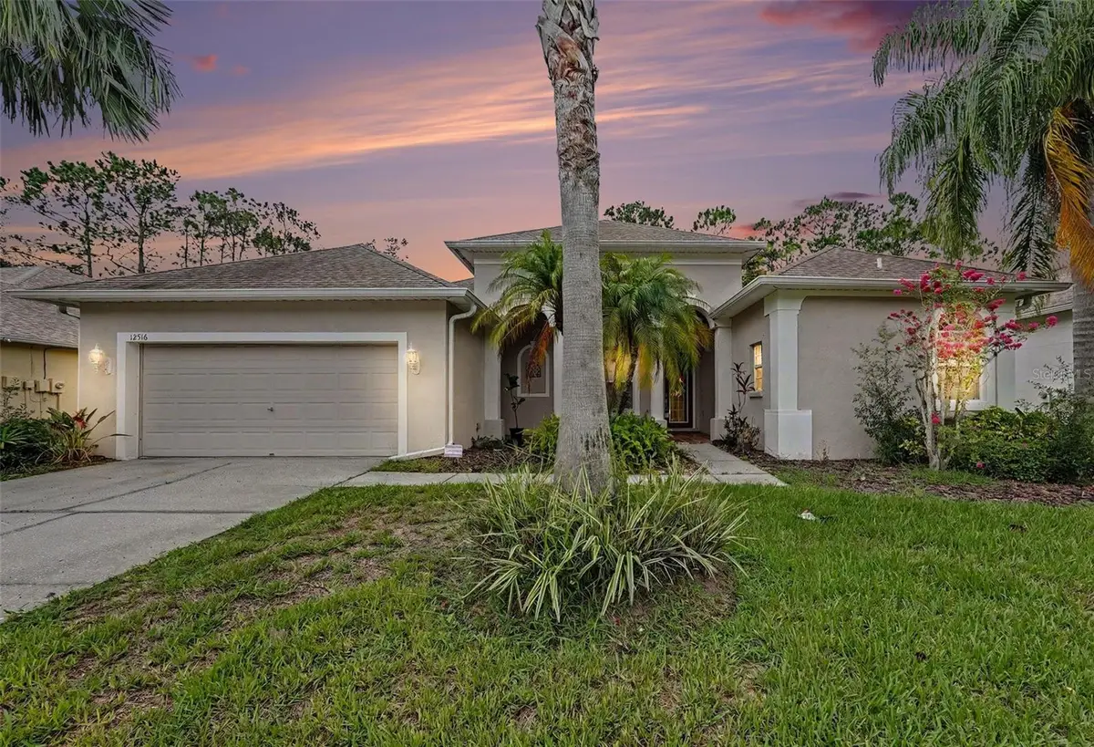 12516 Leatherleaf Drive, Tampa, FL 33626 - #1