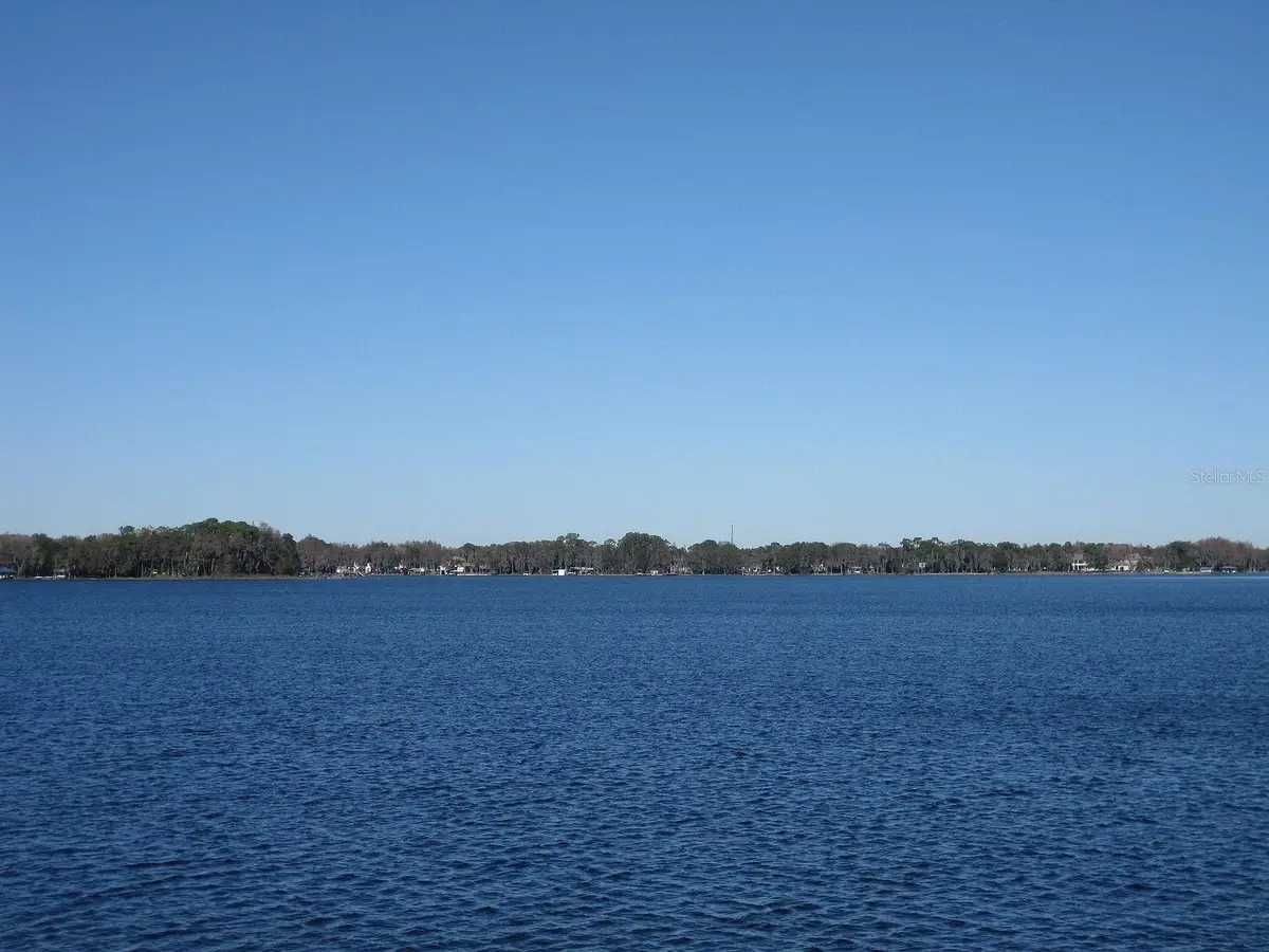 18618 Wayne Road, Odessa, FL 33556 - #1