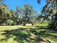 7670 NW 137th Avenue, Morriston, FL 32668 - #2