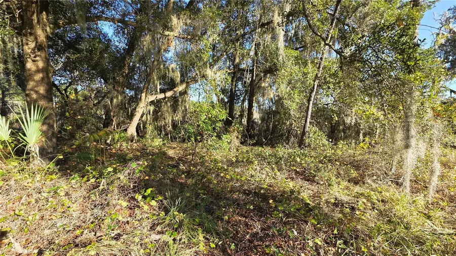 3009 Parma Drive, Deltona, FL 32738 - #2