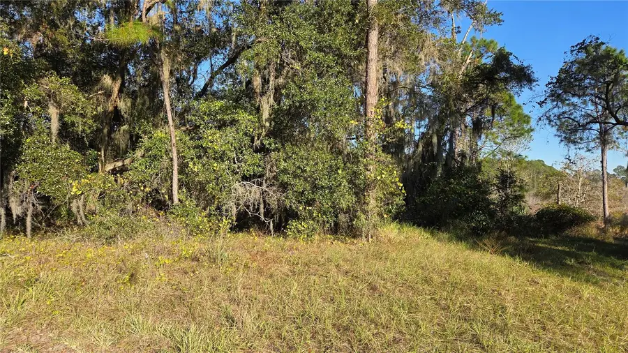 3009 Parma Drive, Deltona, FL 32738 - #3