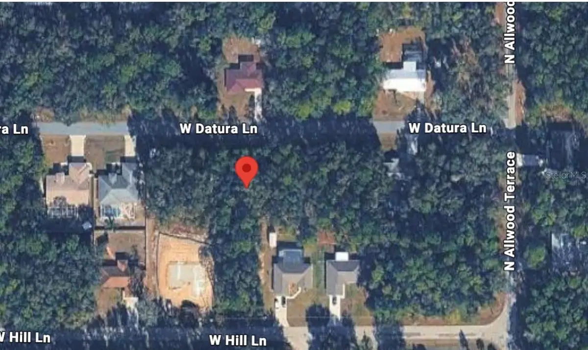 1616 W Datura Lane, Citrus Springs, FL 34434 - #1