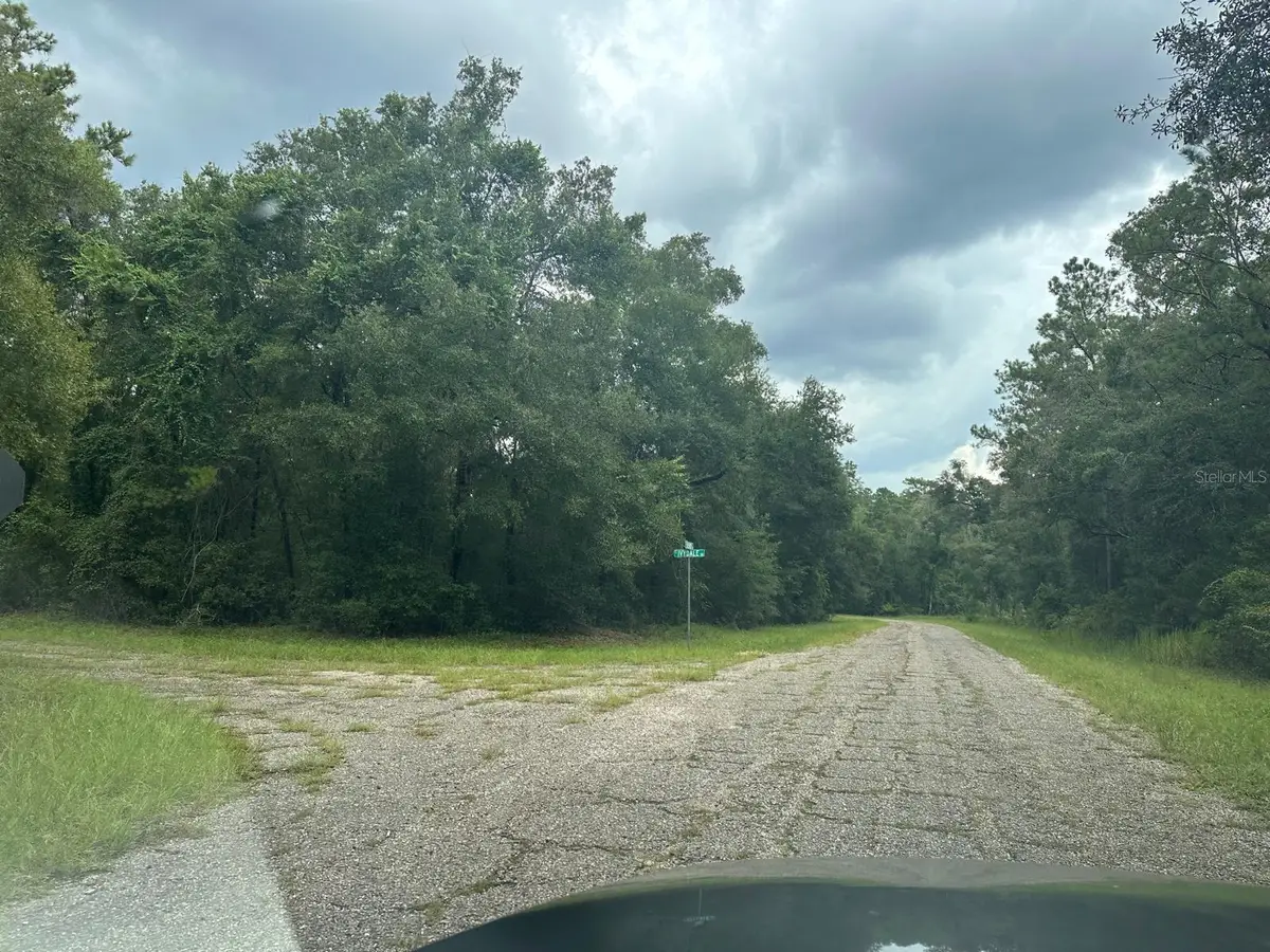 1574 E Ivydale Drive, Citrus Springs, FL 34434 - #1