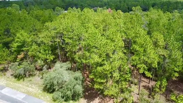 3861 W Firewood Loop, Citrus Springs, FL 34433 - #2