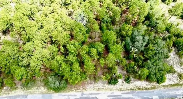 3861 W Firewood Loop, Citrus Springs, FL 34433 - #3