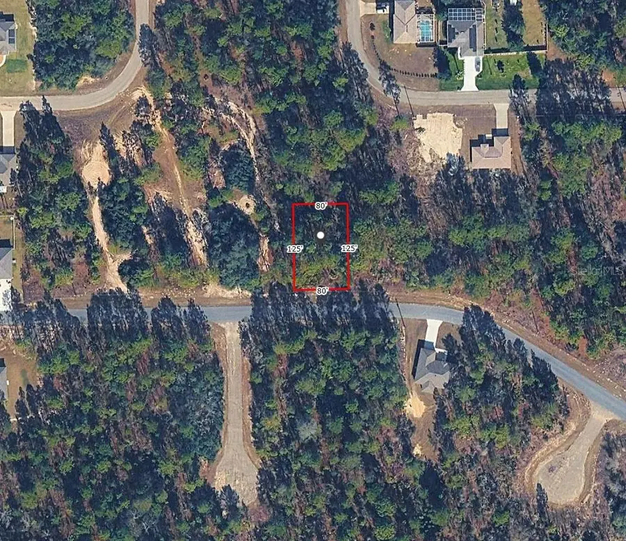 1921 W Riley Drive, Citrus Springs, FL 34434 - #2