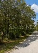 00 SW 47th Place Road, Ocala, FL 34481 - #1