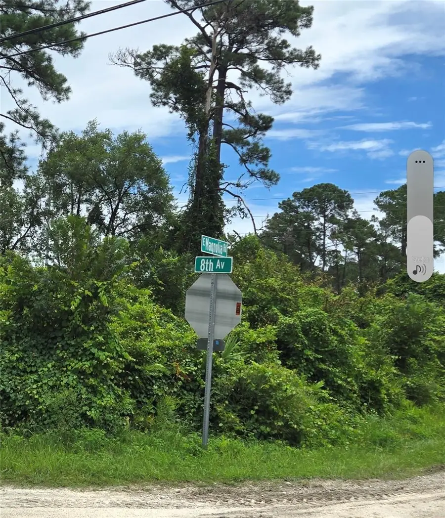 1201 8th Avenue, Deland, FL 32724 - #2
