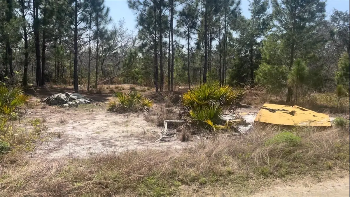 246 Caspian Tern Avenue, Sebring, FL 33870 - #1