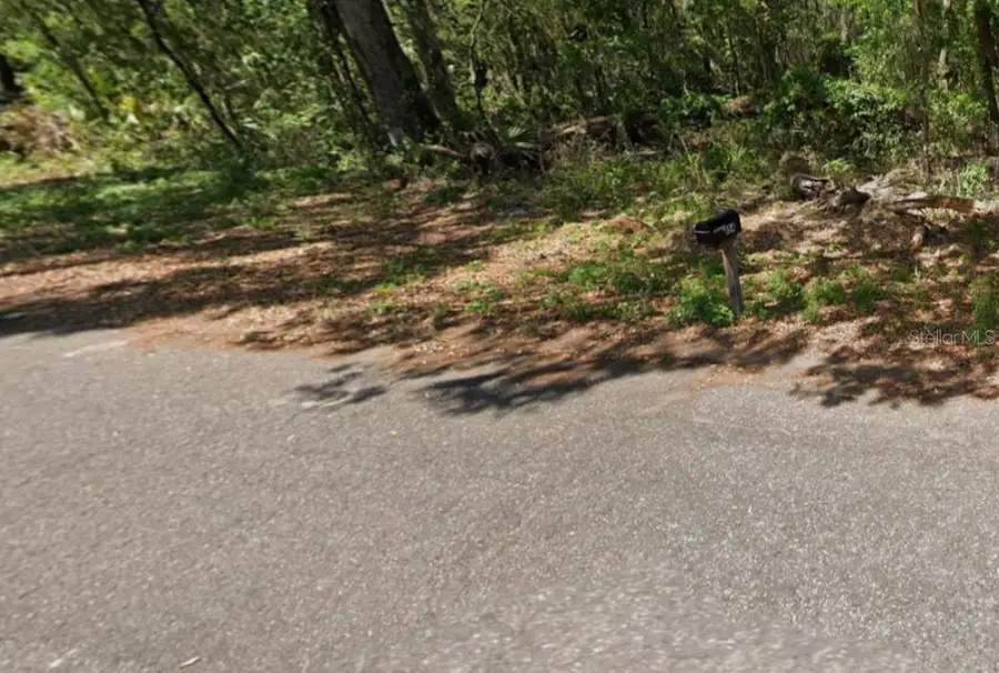 Guava Terrace, Ocklawaha, FL 32179 - #2