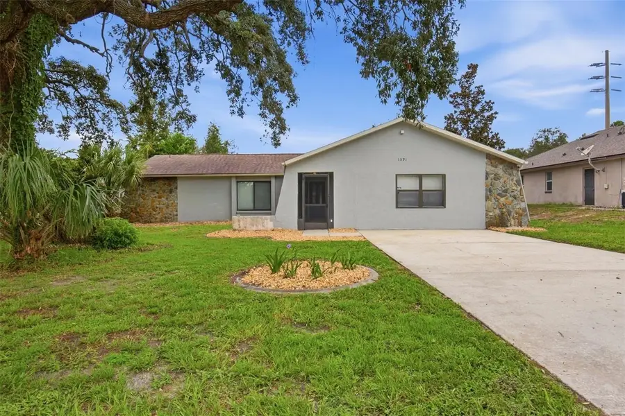 1591 Larkin Road, Spring Hill, FL 34608 - #2