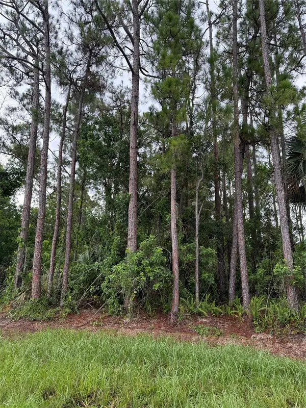 2361 San Filippo Drive Se, PALM BAY, FL 32909