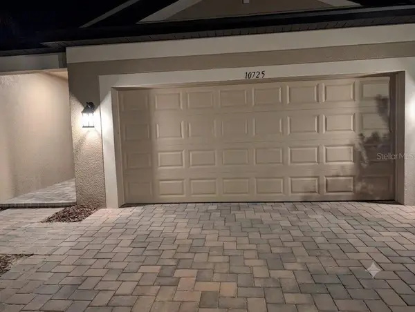 10725 New Morning Drive, TAMPA, FL 33647