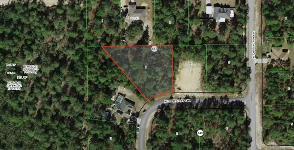8670 N Lindhurst Circle, CITRUS SPRINGS, FL 34433