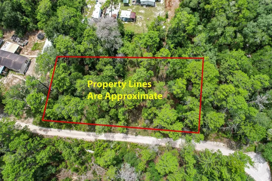 202 Utah Street, Satsuma, FL 32189 - #2
