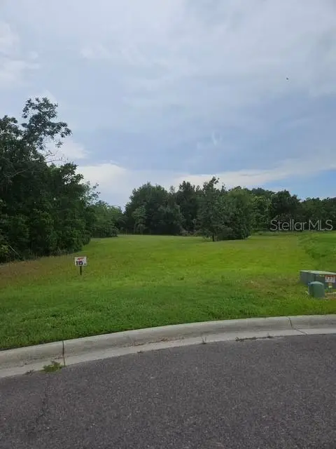 26116 Estates Ridge Drive, Sorrento, FL 32776 - #2