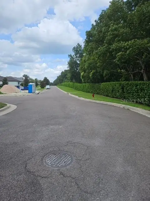 26116 Estates Ridge Drive, Sorrento, FL 32776 - #3