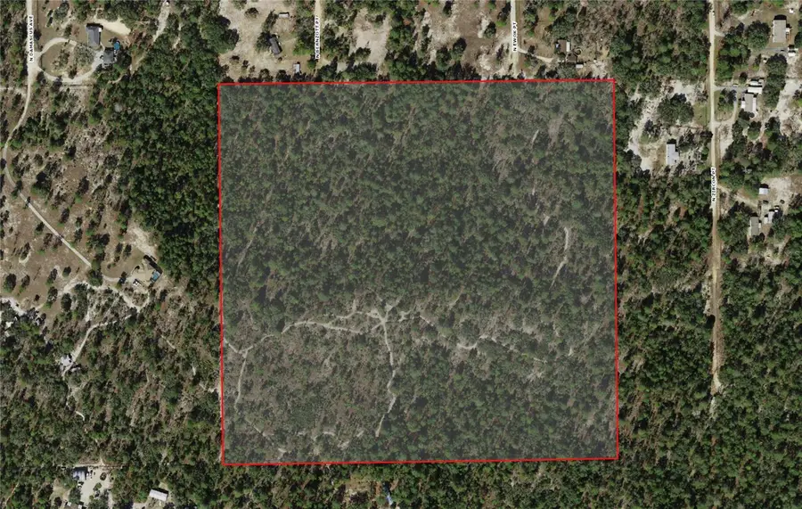 6496 N Bernzott Point, Dunnellon, FL 34433 - #3