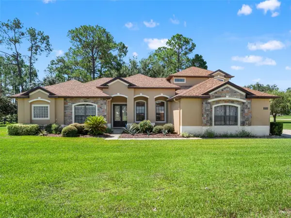 21312 Marsh View Court, CLERMONT, FL 34715