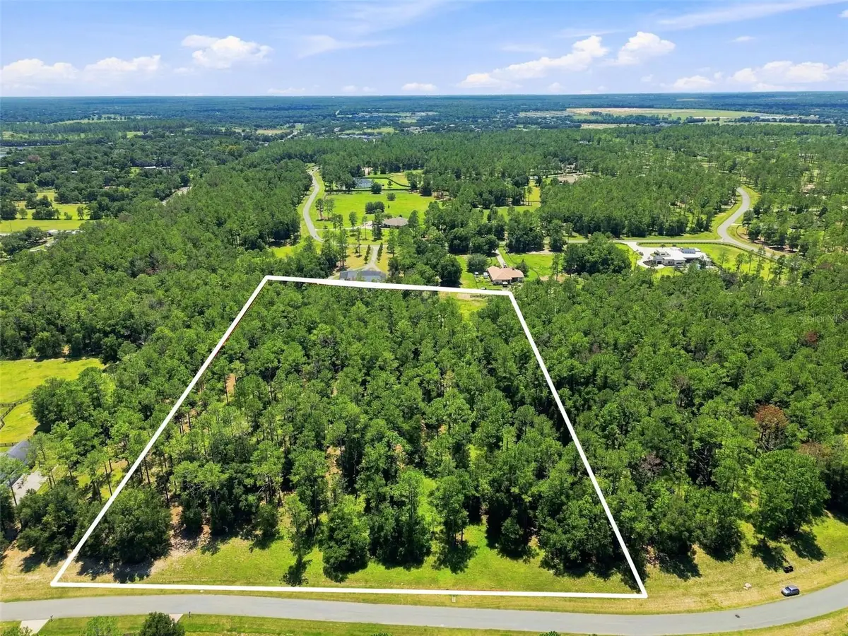 24150 Greenwood Crossing, Eustis, FL 32736 - #1
