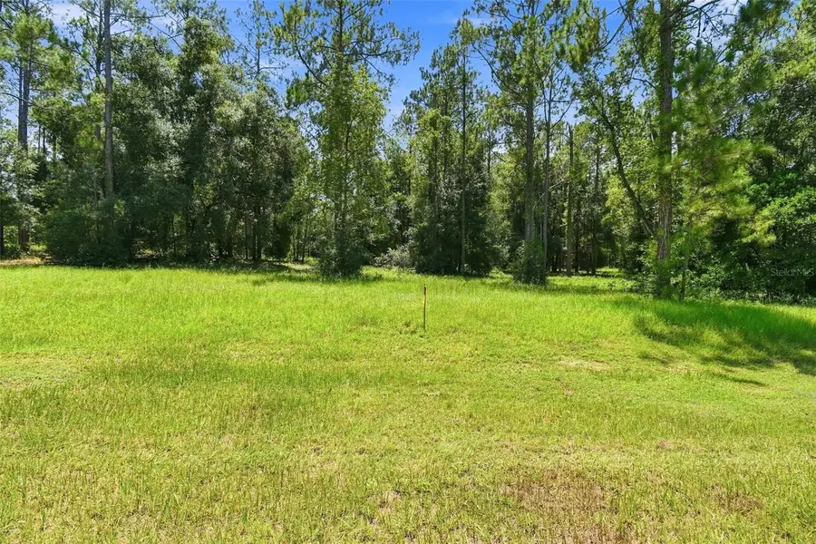 24150 Greenwood Crossing, Eustis, FL 32736 - #3