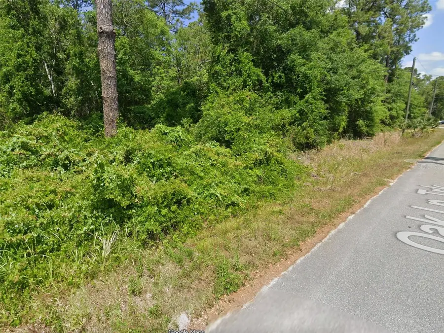 TBD Oak Lane Track, Ocala, FL 34472 - #3