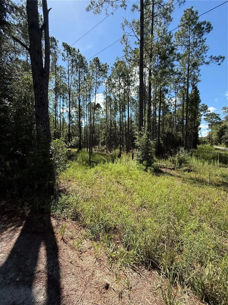 0 SW 158 Lane, Dunnellon, FL 34432 - #2