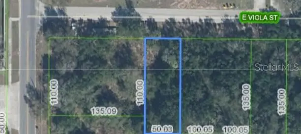 6 E Viola Street, Avon Park, FL 33825 - #2