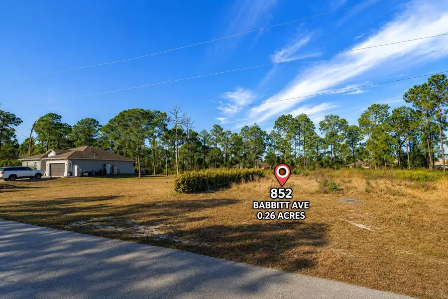 852 Babbitt Avenue, Lehigh Acres, FL 33974 - #2