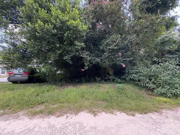 3935 SE 140th Lane, SUMMERFIELD, FL 34491