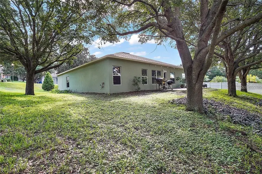 1306 Rain Forest Lane, Minneola, FL 34715 - #3