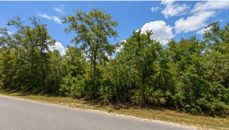 00 Country Road, Eustis, FL 32726 - #1