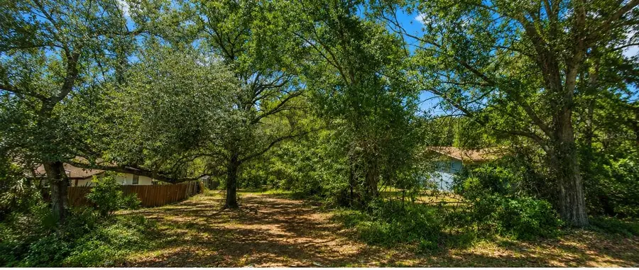 00 Country Road, Eustis, FL 32726 - #2